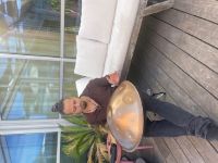 Handpan Brunch 